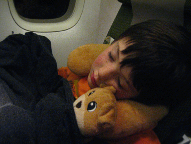 zonked